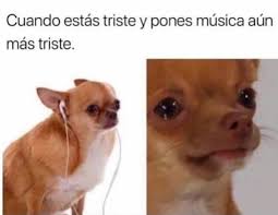 The best gifs are on giphy. Memes 2 Musica Triste Wattpad