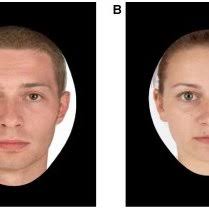 PDF) The Influence of the Digital Divide