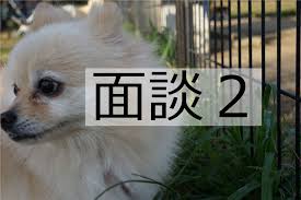 2019年5月 代理母出産 仲介会社と面談2社目 代理出産