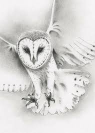 Original Pencil Flying Barn Owl Drawing Owl Art Barn Owl Etsy Owls Drawing Barn Owl Drawing Barn Owl Tattoo