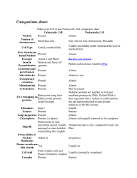 Doc Comparison Chart Idonor Amos Academia Edu