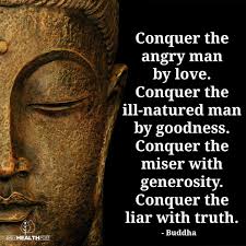 Pin By Skyy Sing On Lessons In Life Buddha Quotes Inspirational Buddha Teachings Warrior Of The Light
