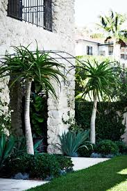 Tropical Character Palms Frame Stone Facade Landscape Architecture Botanicals Vfdmiami Are These St Tropical Landscaping Garden Inspiration Garden Design
