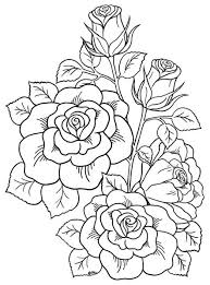 Find the best adults coloring pages for kids & for adults, print 🖨️ and. Coloring Pages Of Roses Language En Free Printable Roses Coloring Pages For Kids Mau Kemana