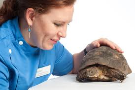 NEW Specialist Exotic & Small Mammal Pet Service Opens May 2014