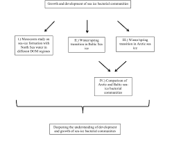 Schematic Flow Chart Of The Aims Of The Thesis Download