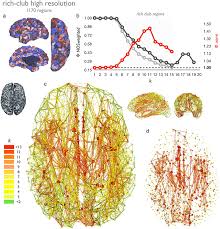 Image result for Higher Integrative Function