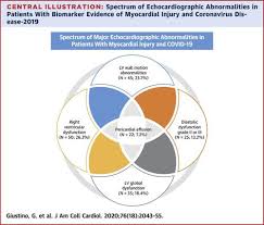 Using national registries the group has developed methods to manage and analyse data using advanced programming in r, sas and stata statistical systems. Characterization Of Myocardial Injury In Patients With Covid 19 Journal Of The American College Of Cardiology X Mol