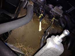 A c1201 toyota trouble code can be very difficult to diagnose and fix because it's such a general trouble code. Chewed Wire Any Thoughts On How Bad The Fix Will Be Ih8mud Forum