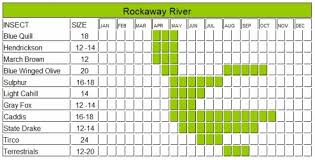 Rockaway River Hatch Chart