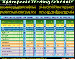 Question About Foxfarm Feeding Schedule Hydroponics