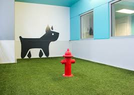 Lucky's pet resort & day spa offers a wide range of amenities for your pets to enjoy. Luxury Real Estate Goes To The Dogs And Chinchillas Mansion Global