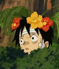  Paoooooo On Twitter In 2021 Manga Anime One Piece One Piece Anime One Piece Luffy