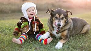 Fur Laughs Watch 7 Funny Dogs Making Babies Laugh Videos Dogtime