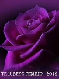 Stefan iordache nu stiam ca te iubesc atat de mult. Stefan Iordache Si Sanda Ladosi Eu Vreau Skachat Pesnyu Spaces Im