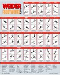 Weider 6900 Exercises Online Charts Collection