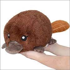 Mini Squishable Baby Platypus Baby Platypus Cute Stuffed Animals Plush Animals