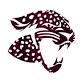49th Annual Barbara Harvey Jaguar Classic - Floresville High School, 1813 Tiger Ln Event Image