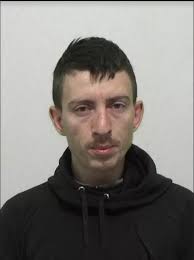 Romanian men found sleeping in campervan containing axe, sword and knives  after Sunderland party