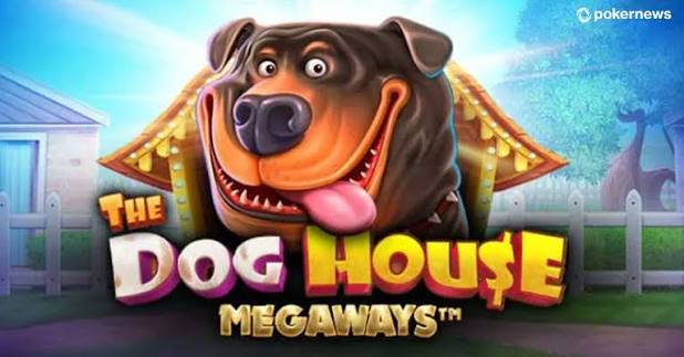 Cover art for The Dog House Megaways, credited to pokernews.com