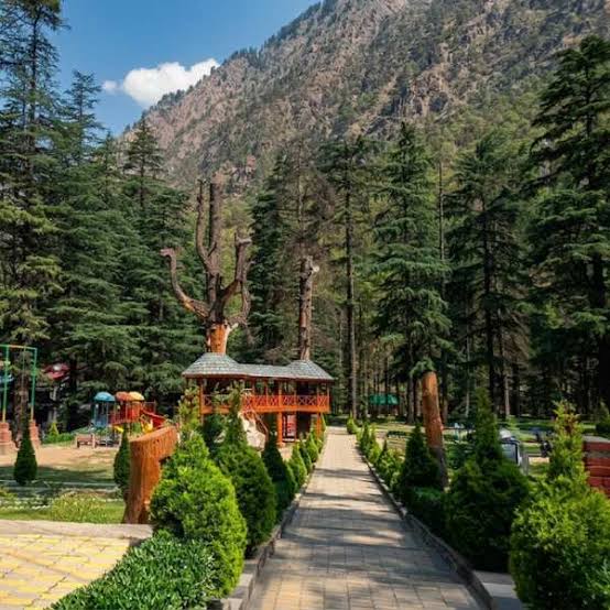 Forest travel scenery for Kasol