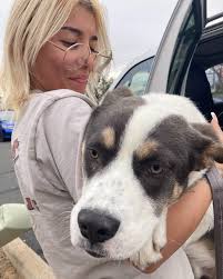 Look who's adopted...Pepper, Titan, Bongo, Tiffany, Cider, Mistletoe, Blue  and Angel all have furever homes now thanks to their adopters. We are os  happy thes epets have a place to call home.