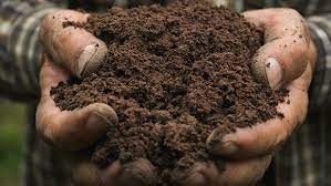 Living in portland oregon full tour of all the portland sections. Oregon Legalizes Human Composting As A Final Resting Option Kgw Com