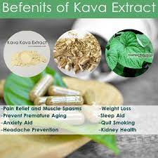 Kava withdrawal risk is low. What Is Kava Benefits Of Kava