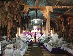 This church and its contents are a reminder of the horrifying violence that took place at this site during the 1994 rwandan genocide against the tutsi. Ntarama Genocide Memorial Centre Alchetron The Free Social Encyclopedia