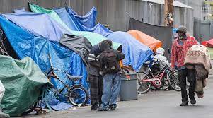 US homelessness crisis: In Los Angeles, tiny homes spring up for homeless people