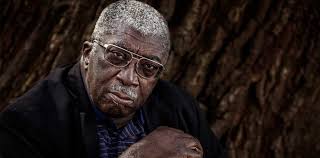 Bluffton Gullah Culture Heritage Center to Unveil Historic Twin Bottle Tree  Exhibit