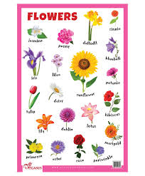 Flowers Educational Chart English