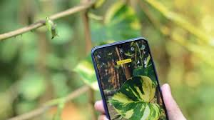 Ini Kehebatan Efek Bokeh Yang Bikin Foto Makin Tak Biasa Tribunnews Com Mobile