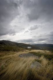 You Ll Remember Me When The West Wind Blows Elysium Fields Always Makes Me Think Of Gladiator Landscape Elysium Fields