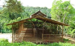 Check spelling or type a new query. Kandang Kambing Umbaran Jual Kandang Kambing Kontes Etawa Kayu Jati Kab Jepara Jun Furniture Tokopedia Hal Terpenting Kandang Tersebut Bisa Melindungi Ayam Dari Cuaca Ekstrim Dan Niat Jahat Manusia Rindrarisyantonur