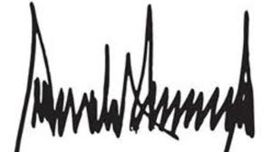 Image result for TRUMP SIGNATURE