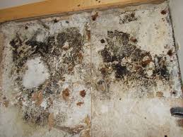 Mold in air conditioner or ducts is difficult to remove and a professional should be utilized for removal. Mold Spores Your Hvac System And Your Home Help Heating Cooling
