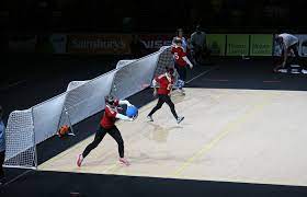 The paralympics in 1960 hosted 400 athletes from 23 countries participating in eight sports. Sports Of The Paralympic Games