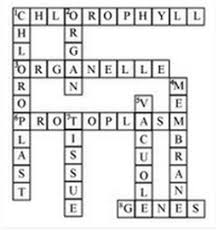 Check spelling or type a new query. Chapter 8 Cell Structure And Functions Onlinestudycbse