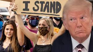 tv100 Video izle... tv100 video Kanalı ile Eğlendirici ve öğretici Videolar  İzle