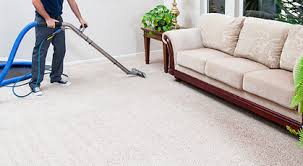 What Types of Carpet Cleaning Services Are Available? | Indiana Tourism | Carpet Cleaning Pueblo