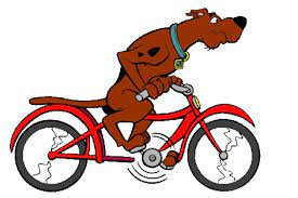 Daily walks in the park are enough for these dogs to. Scooby Doo How Old Are You Asu News