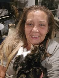 Will my cat be okay waiting for eye removal surgery?