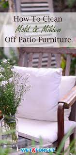 Wet Forget Outdoor Mildew Remover For Patio Furniture Outdoor Lawn Furniture Green Outdoor Furniture Patio Furniture