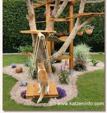 Arbre A Chat Exterieur Maison Pour Chat Exterieur Arbre A Chat Enclos Chat