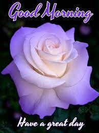 Pin By Ken Andaman On Good Morning Good Night Flowers Good Morning Saturday Good Morning Saturday Images