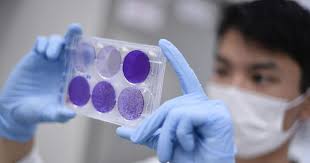 A vaccine is unlikely to be ready before 2021. Coronavirus Johnson Johnson Begins Phase 3 Trials Of Its Single Shot Vaccine