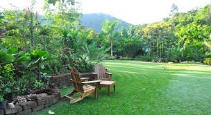 Booking Com Cominsia Lodge Kep Cambodge Cambodge Jardin Tropical Logement