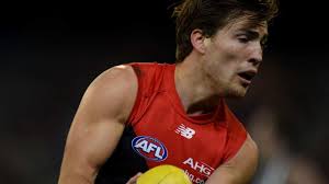 Viney, Jones named Demons AFL co-captains