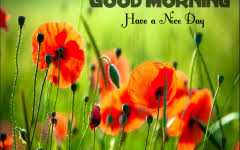Good Morning Images Hd 1080p Good Morning Images Hd Good Morning Images Good Morning Images Download